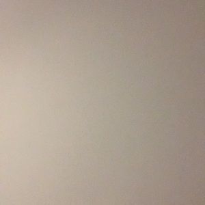 Meet your Posher, Will